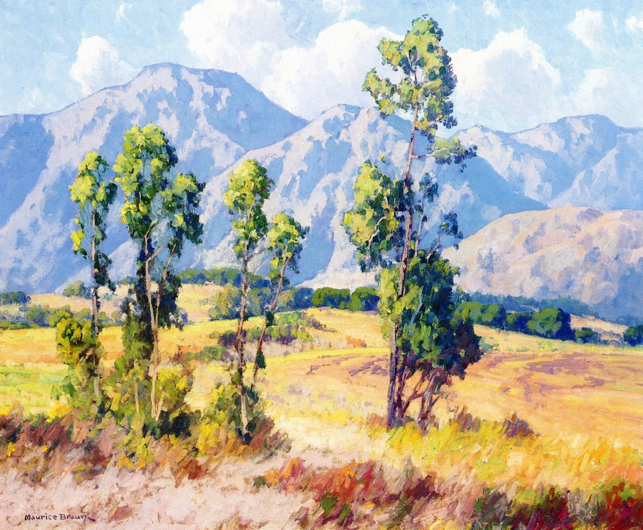 Eucalyptus and Mountains, vintage artwork by Maurice Braun, 12x8" (A4) Poster