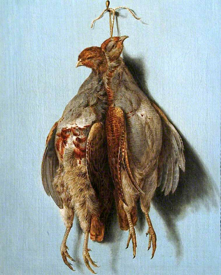 Brace of Pheasant, vintage artwork by Stephen Elmer, 12x8" (A4) Poster