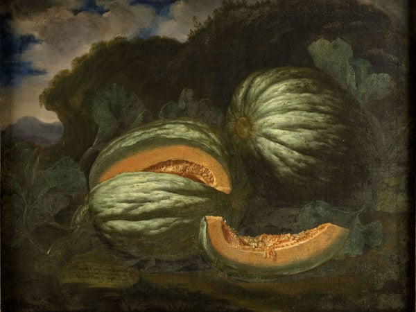 Popone "cotigniolo" del marchese Capponi, vintage artwork by Bartolomeo Bimbi, 12x8" (A4) Poster