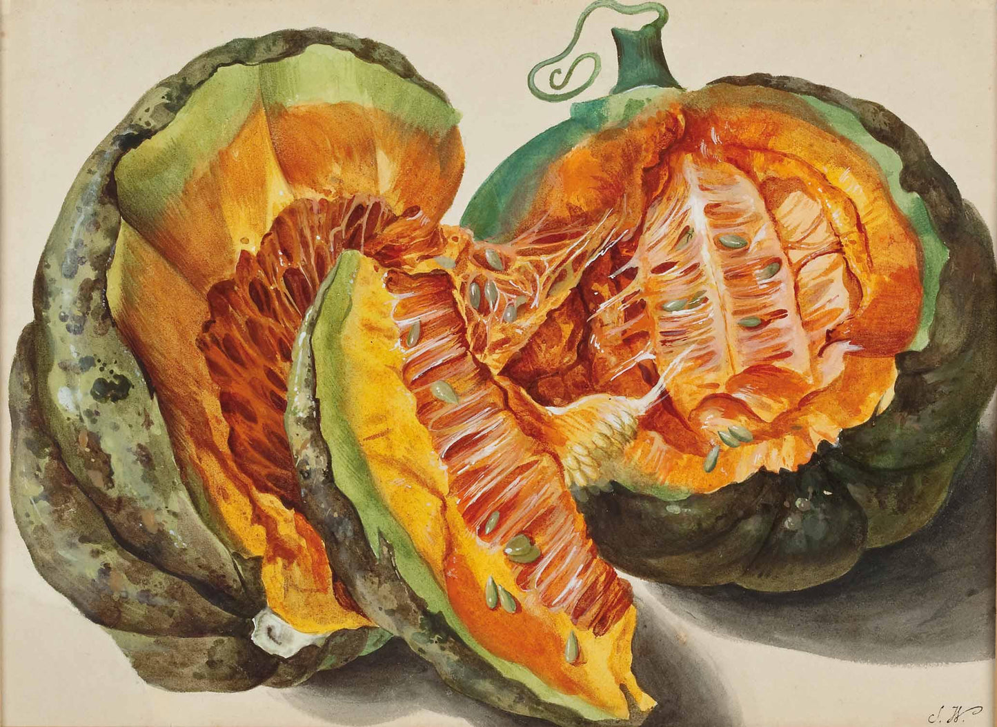 Pumpkin, vintage artwork by Sebastian Wegmayr, 12x8" (A4) Poster