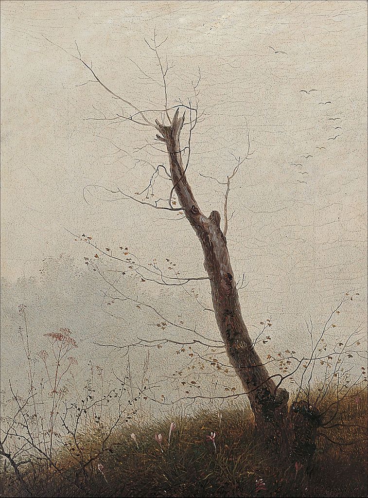 Young Tree by the Waters Edge, vintage artwork by Carl Gustav Carus, A3 (16x12") Poster Print