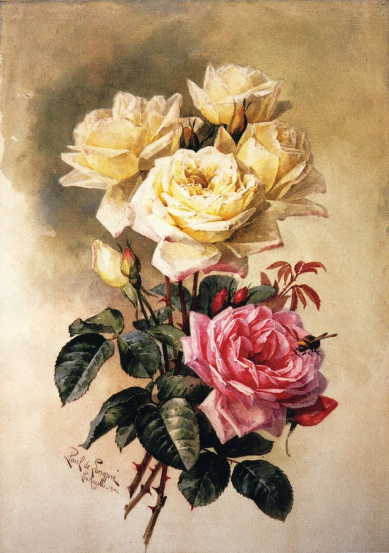 French Bridal Roses by Paul De Longpre,A3(16x12")Poster
