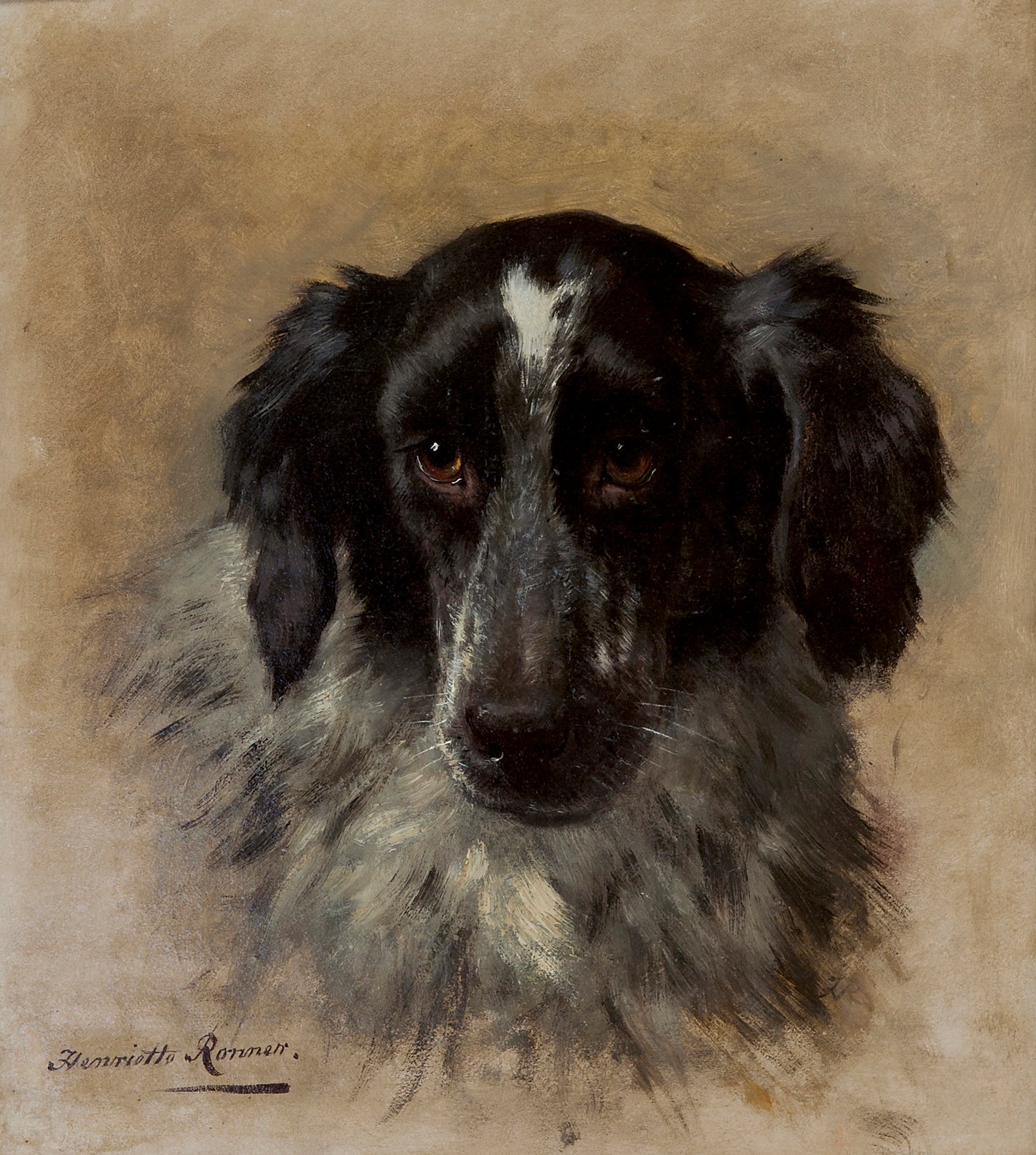 An English Setter, vintage artwork by Henriette Ronner-Knip, A3 (16x12") Poster Print
