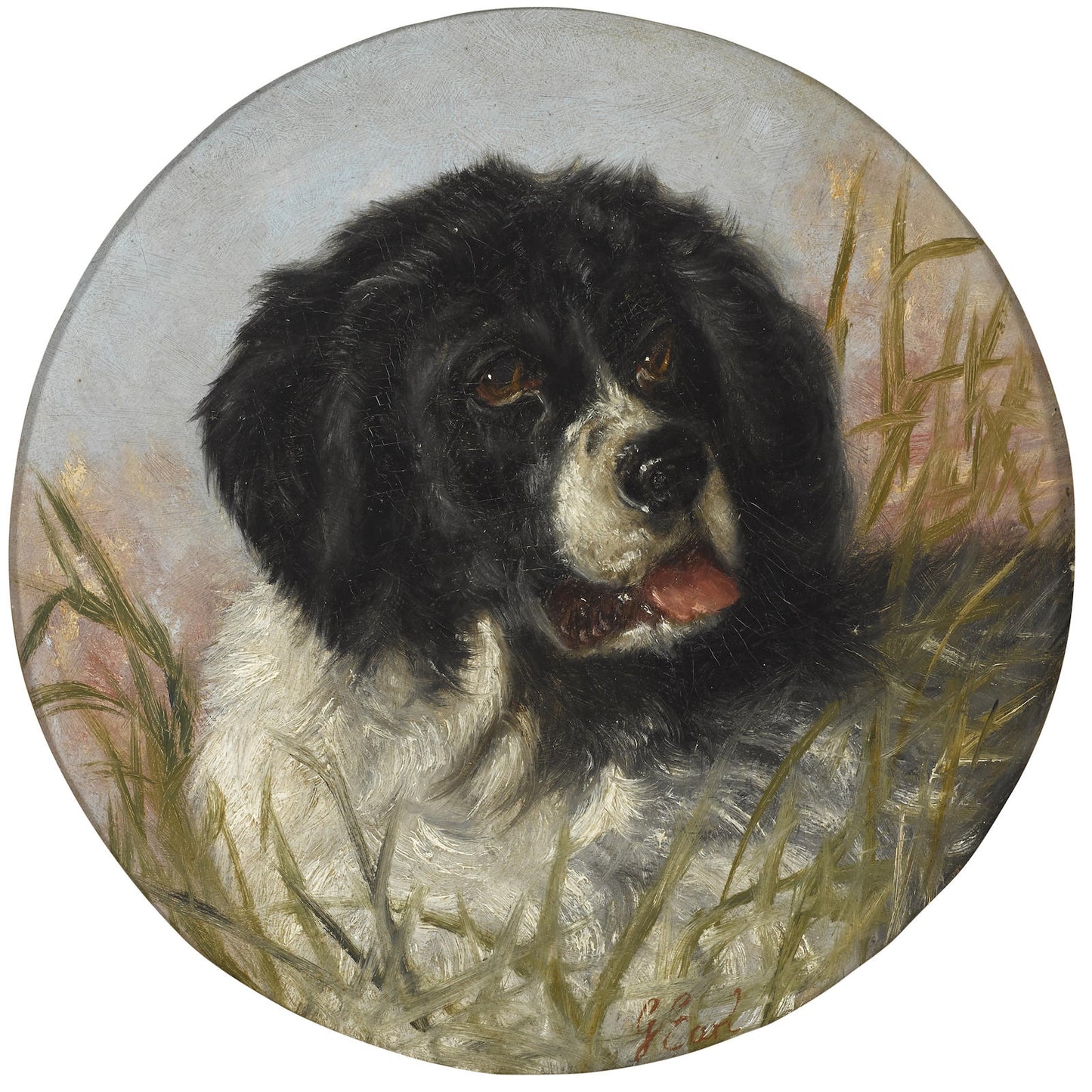 Head of a Landseer Newfoundland, vintage artwork by George Earle, 12x8" (A4) Poster