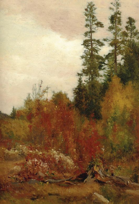 Study near Schulls, vintage artwork by Jervis McEntee, 12x8" (A4) Poster