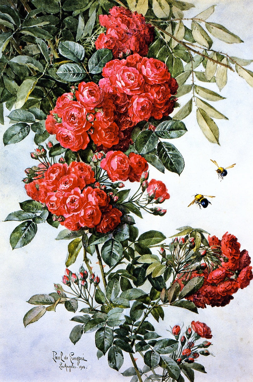 Rambling Roses, vintage artwork by Raoul de Longpre, 12x8" (A4) Poster