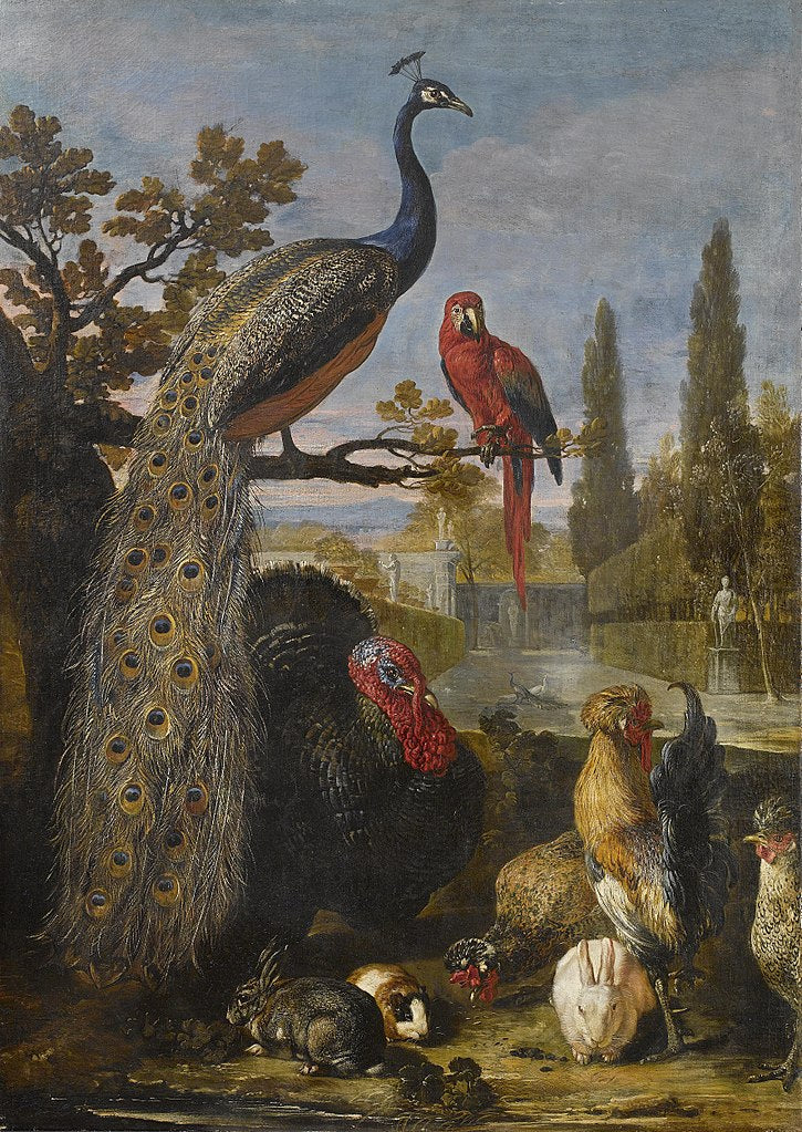 A peacock, a parrot, turkey, roosters, rabbits and a Guinea Pig in a park landscape, vintage artwork by David de Coninck, 12x8" (A4) Poster