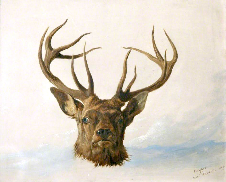 Head of a Stag (Full Face), vintage artwork by Richard Ansdell, A3 (16x12") Poster Print