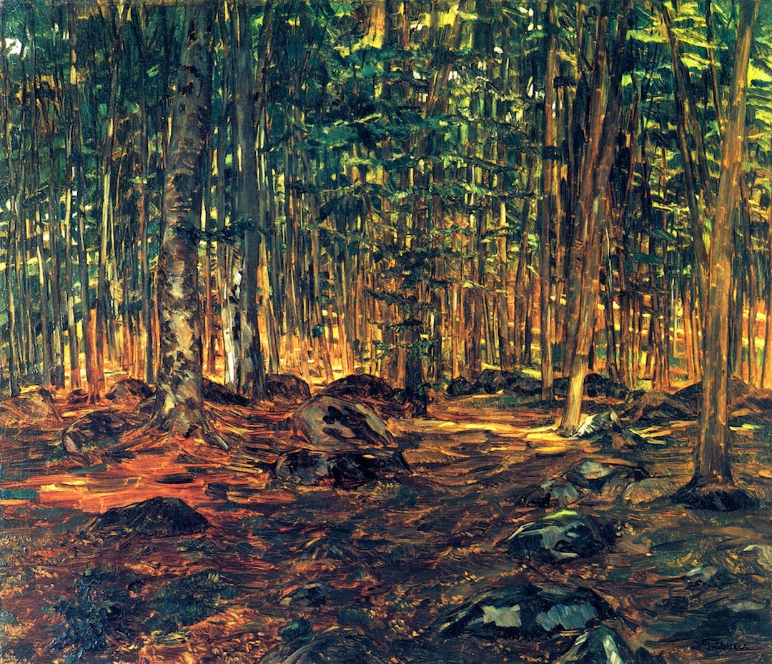 Forest Interior by Wilhelm Trubner,A3(16x12")Poster