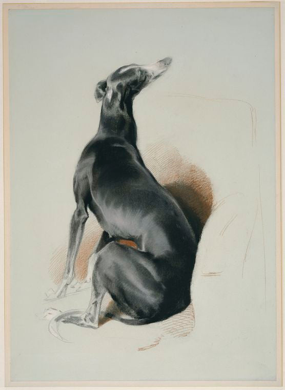 Eos, vintage artwork by Sir Edwin Landseer, A3 (16x12") Poster Print