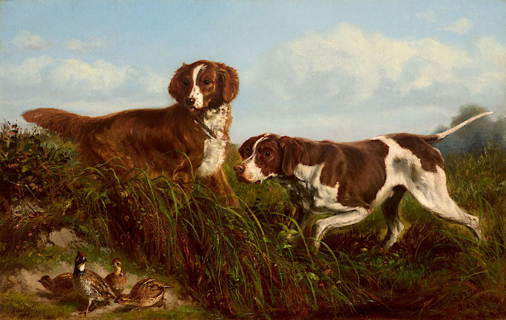 Setters and Quail, vintage artwork by Arthur Fitzwilliam Tait, A3 (16x12") Poster Print