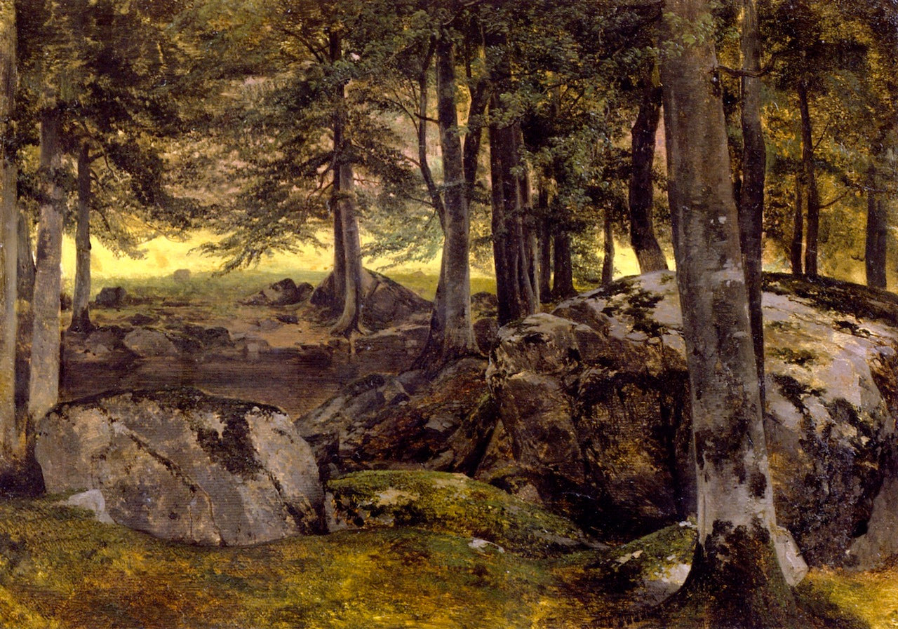 Beech Grove, Rocky Foreground, vintage artwork by Alexandre Calame, A3 (16x12") Poster Print