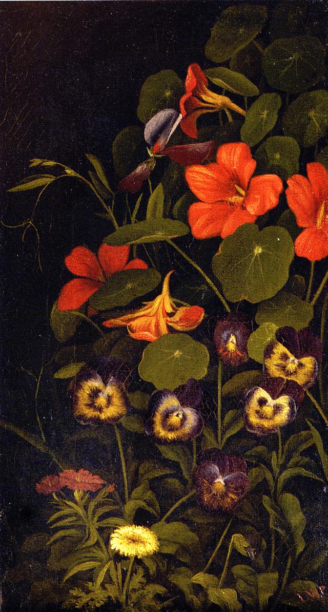 Pansies and Nasturtiums, vintage artwork by Levi Wells Prentice, 12x8" (A4) Poster