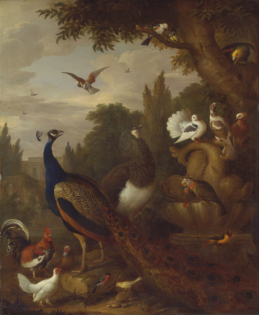 Peacock, peahen, parrots, canary, and other birds in a park, vintage artwork by Jakob Bogdány, 12x8" (A4) Poster