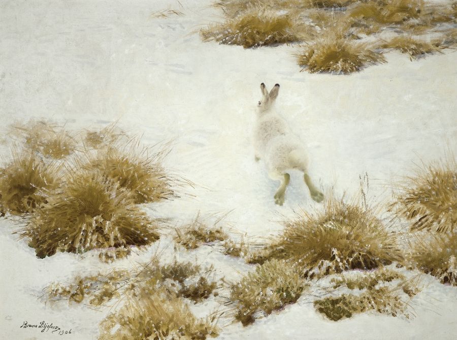The Snow Hare by Bruno Liljefors,A3(16x12")Poster