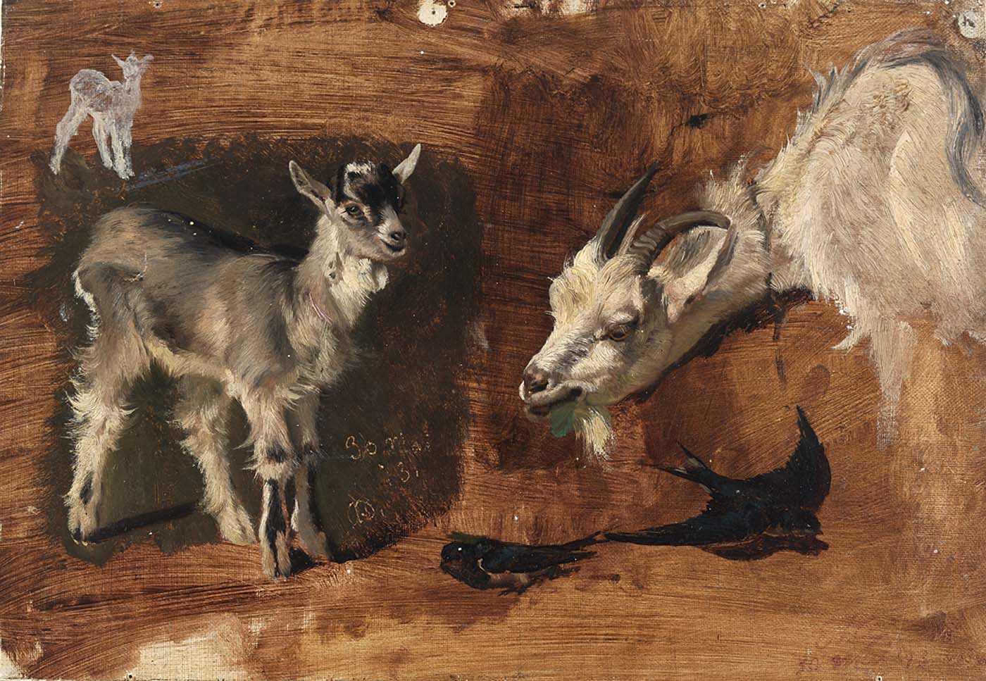 Goats (study), vintage artwork by Eliphalet Frazer Andrews, 12x8" (A4) Poster