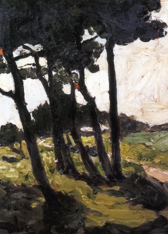 Pine Trees - Equihen, France by Max Bohm,A3(16x12")Poster