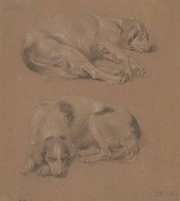 Studies of Dogs, vintage artwork by James Ward, 12x8" (A4) Poster