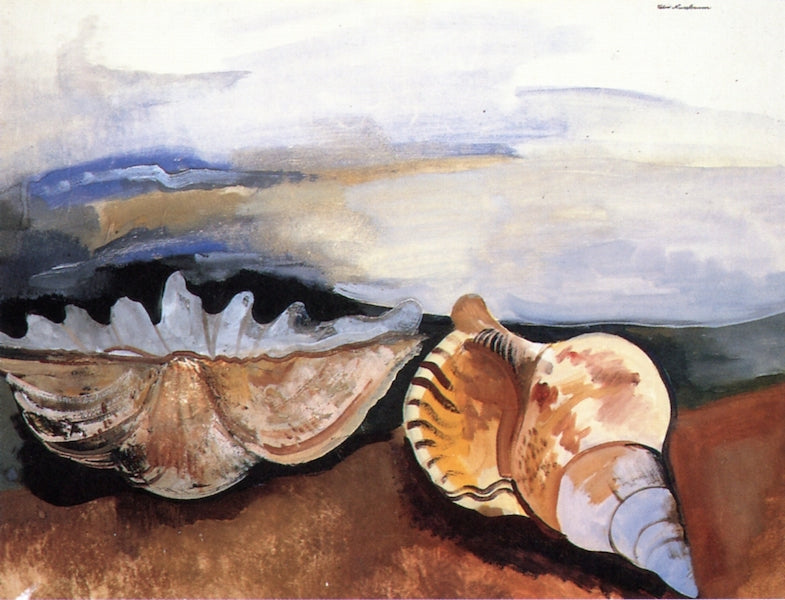 Scallop and Conch, vintage artwork by Felix Nussbaum, 12x8" (A4) Poster