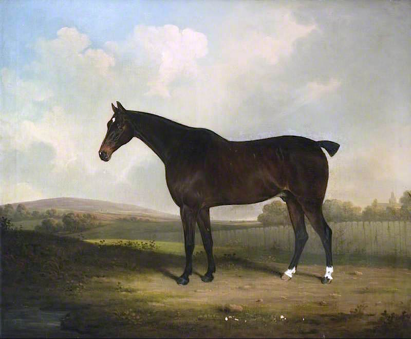 Dark Bay Hunter, vintage artwork by Henry Bernard Chalon, 12x8" (A4) Poster