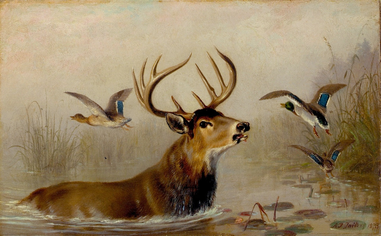 After a Hard Chase, vintage artwork by Arthur Fitzwilliam Tait, A3 (16x12") Poster Print