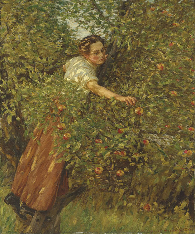 Sussex Apples, vintage artwork by Henry Herbert la Thangue, 12x8" (A4) Poster