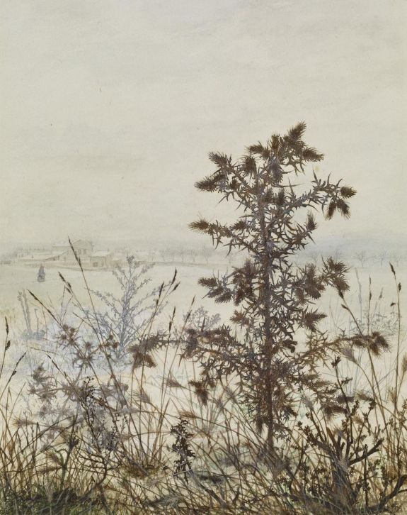 Thistles and Weeds, vintage artwork by Leon Bonvin, 12x8" (A4) Poster