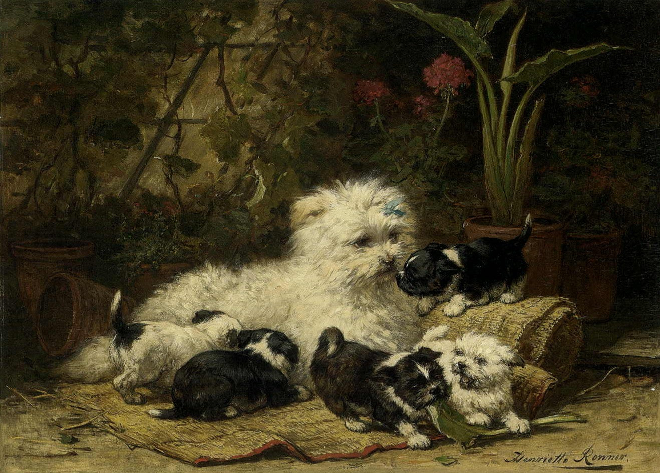 A Cairn Terrier and Her Puppies, vintage artwork by Henriette Ronner-Knip, A3 (16x12") Poster Print
