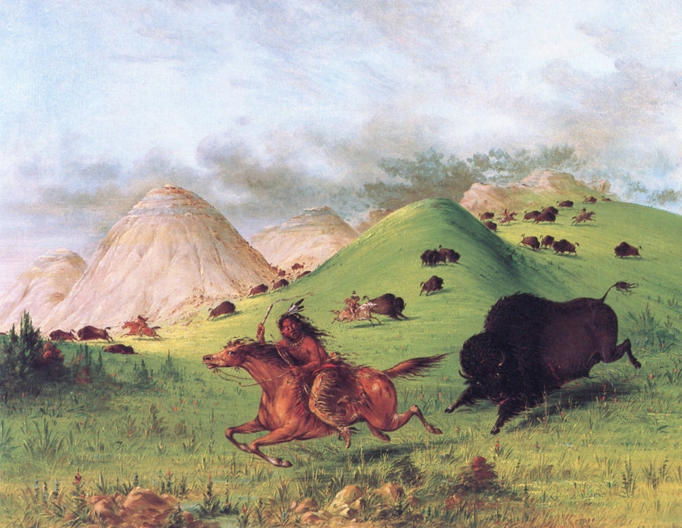 Buffalo Hunt, Chasing Back, vintage artwork by George Catlin, A3 (16x12") Poster Print