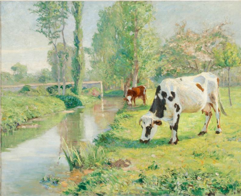 Cows Grazing along the Canal by Carl Tragardh,A3(16x12")Poster
