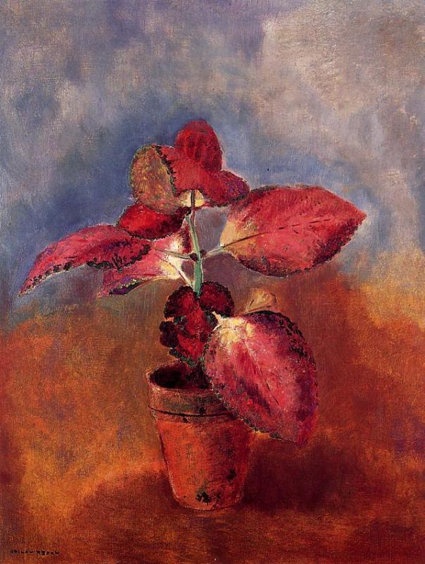 Begonia in a Pot, vintage artwork by Odilon Redon, 12x8" (A4) Poster