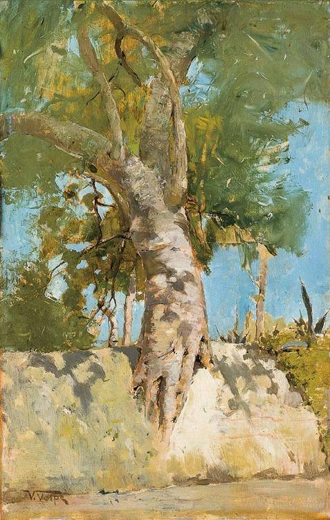 Albero by Vincenzo Volpe,A3(16x12")Poster