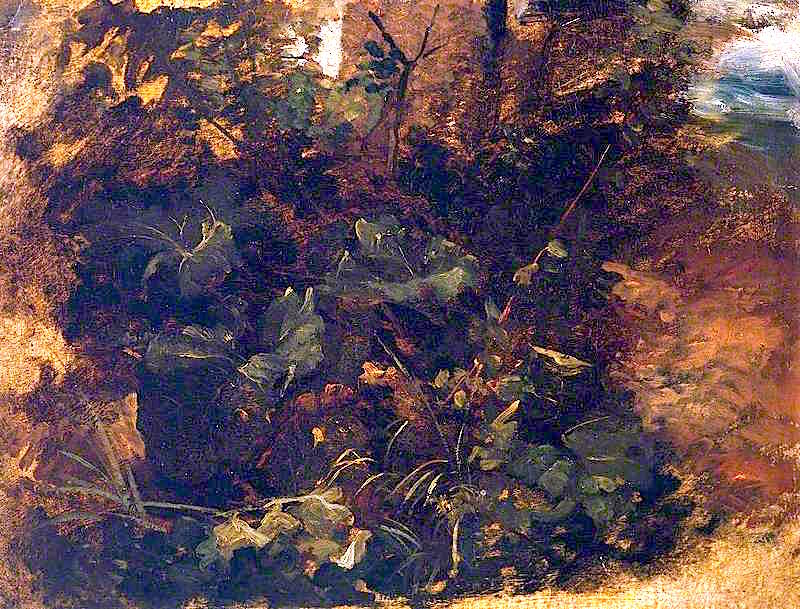 Study of Burdock and other Plants, vintage artwork by Peter de Wint, 12x8" (A4) Poster