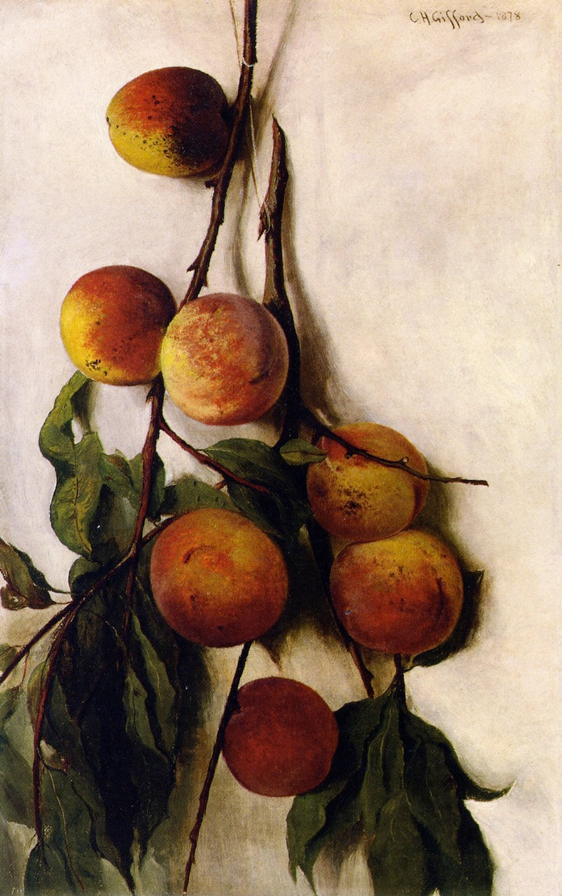 Peach Boughs, vintage artwork by Charles Henry Gifford, 12x8" (A4) Poster