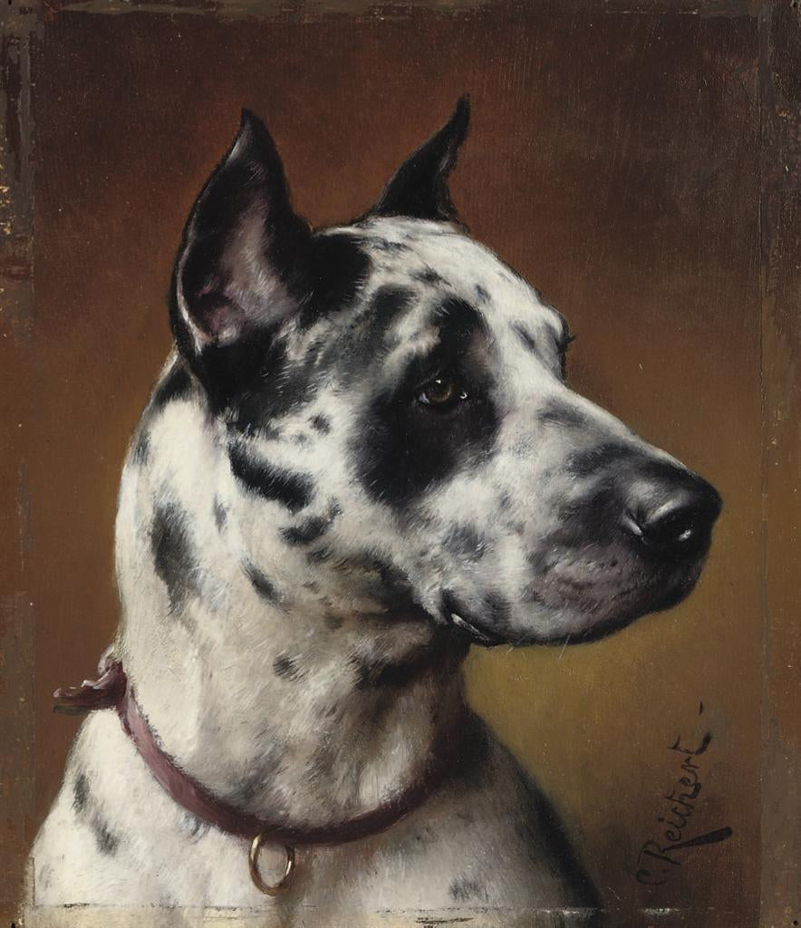 The great Dane, vintage artwork by Carl Reichert, 12x8" (A4) Poster