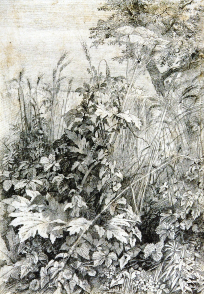 And Some Fell among Thorns, vintage artwork by William Trost Richards, 12x8" (A4) Poster