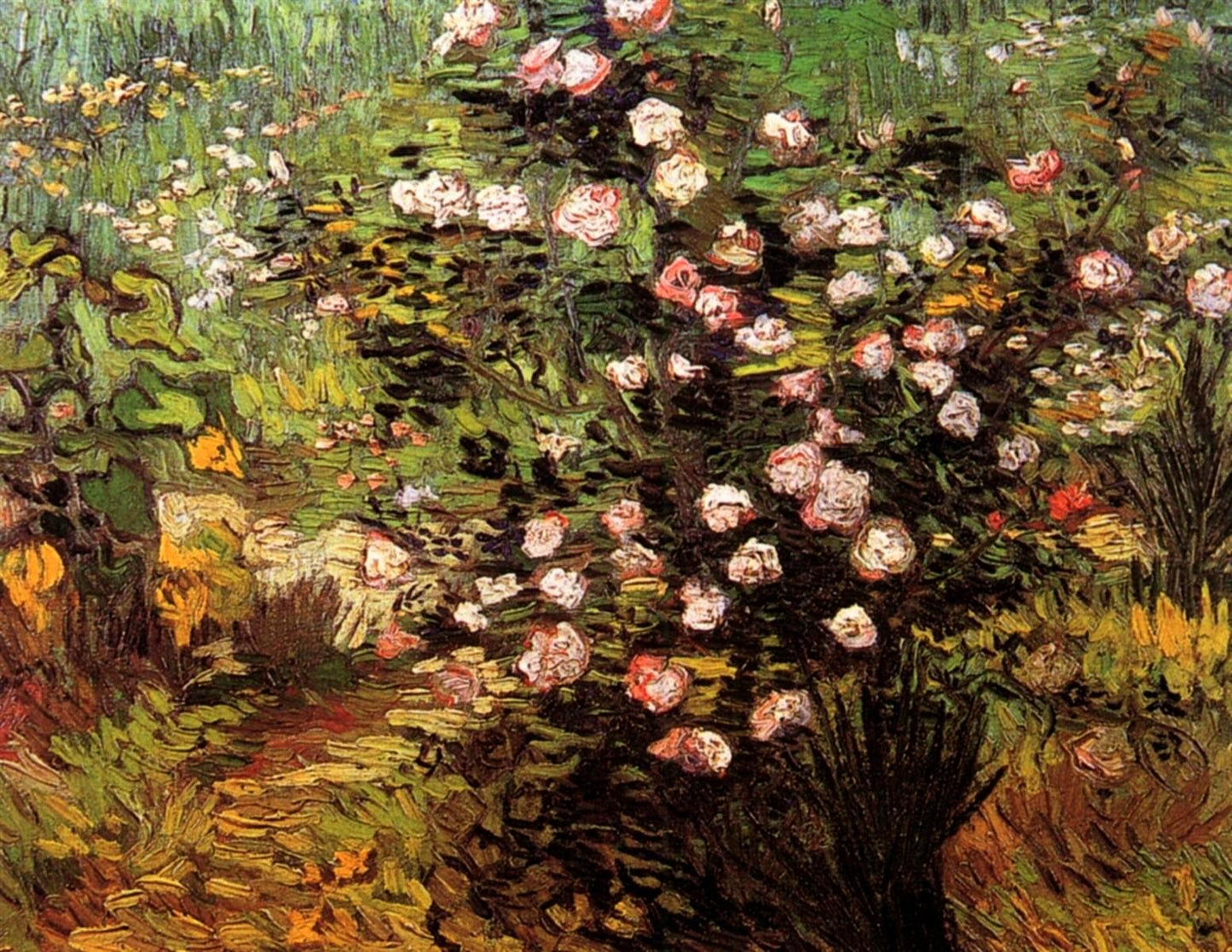 Blooming Rose Bush, vintage artwork by Vincent van Gogh, 12x8" (A4) Poster