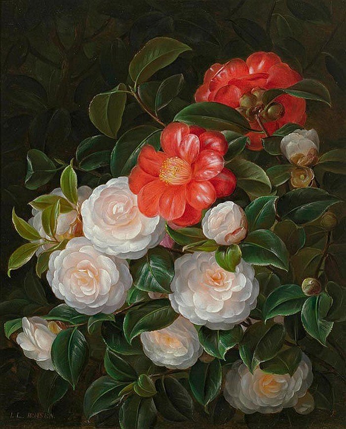 Red and white camellias, vintage artwork by Johan Laurentz (J.L.) Jensen, A3 (16x12") Poster Print