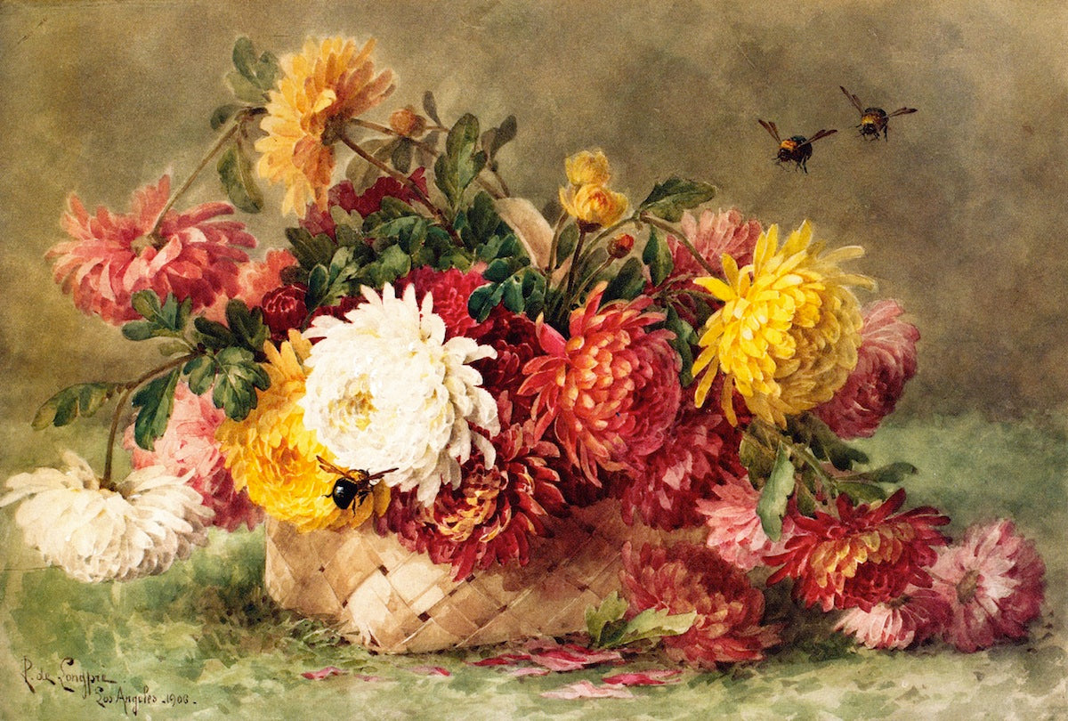 Chrysanthemums in a Woven Basket, vintage artwork by Paul De Longpre, 12x8" (A4) Poster