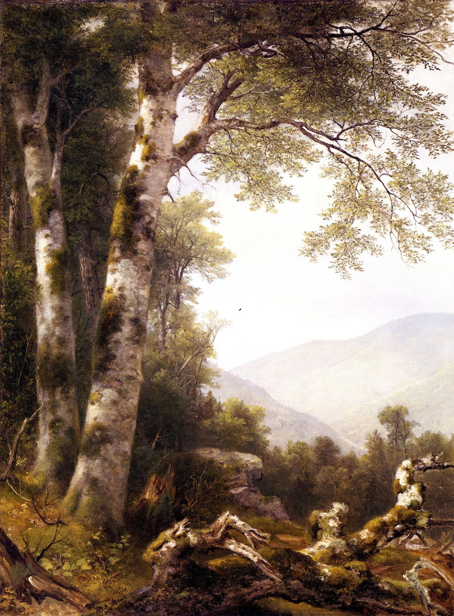 Landscape with Birches, vintage artwork by Asher Brown Durand, A3 (16x12") Poster Print