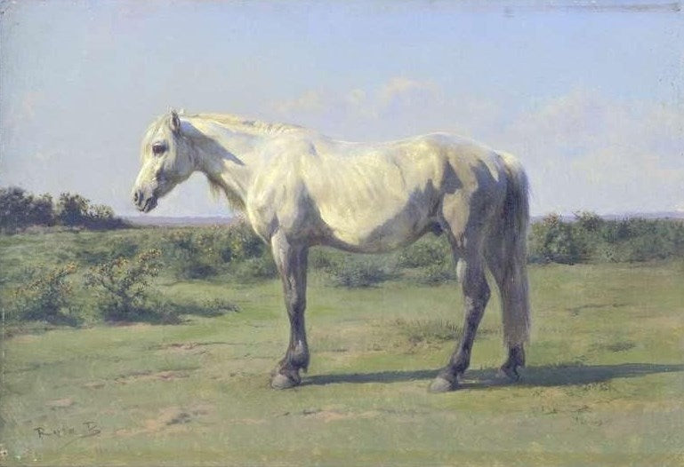 A Grey Horse in a Field, vintage artwork by Rosa Bonheur, A3 (16x12") Poster Print