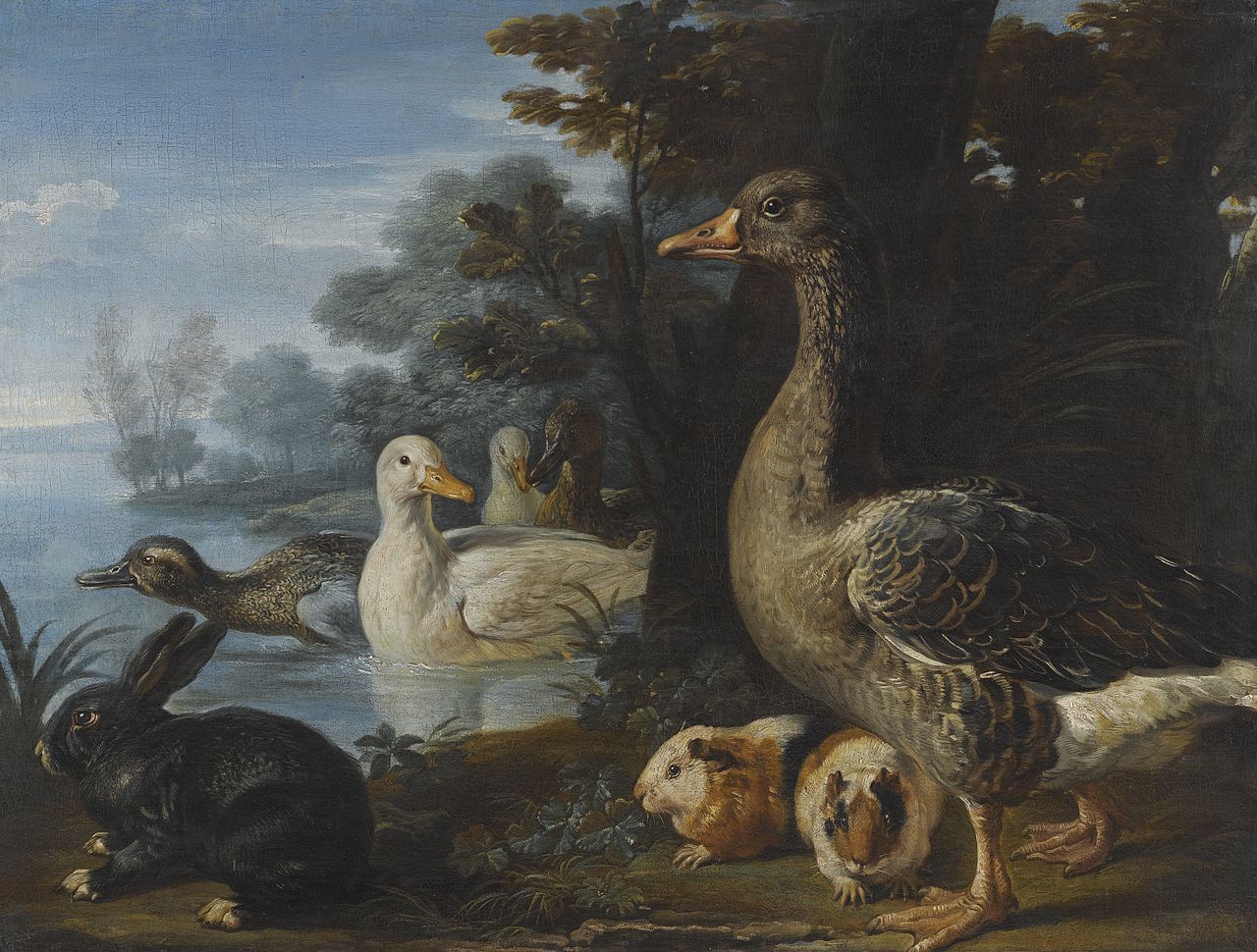 Ducks, Guinea Pigs and a Rabbit in a Wooded Landscape Beside a Lake, vintage artwork by David de Coninck, 12x8" (A4) Poster
