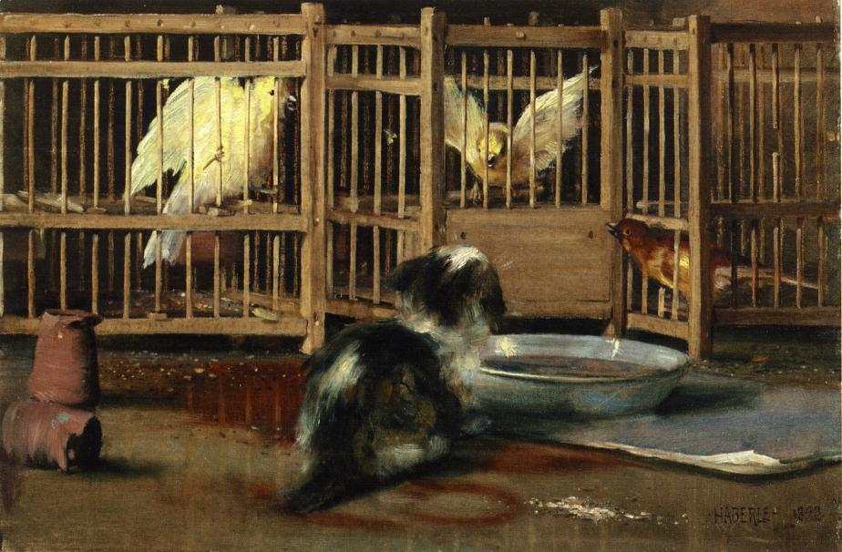 A Misunderstanding by John Haberle,A3(16x12")Poster