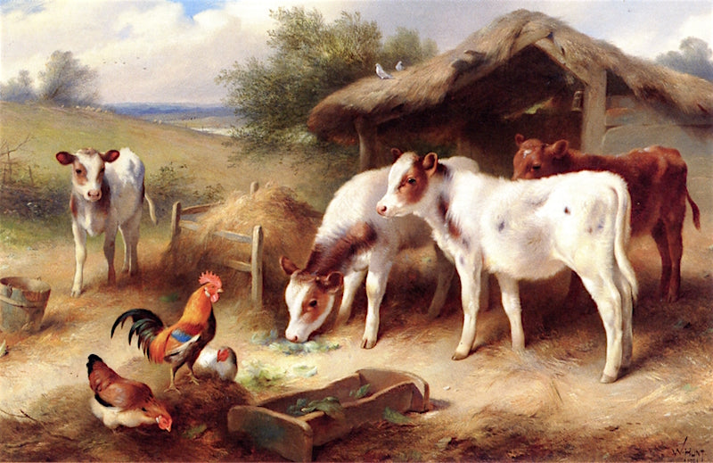 Calves, a Cockerel and Hens beside a Barn, vintage artwork by Walter Hunt, 12x8" (A4) Poster