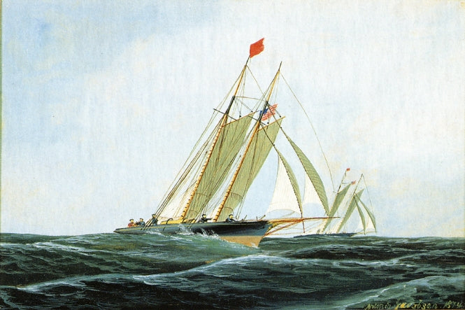 The Yacht Race, vintage artwork by Antonio Jacobsen, 12x8" (A4) Poster