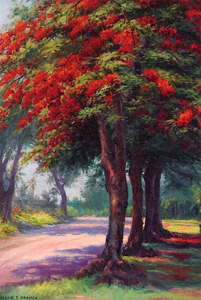 Jacaranda Tree by Helen Thomas Dranga,A3(16x12")Poster
