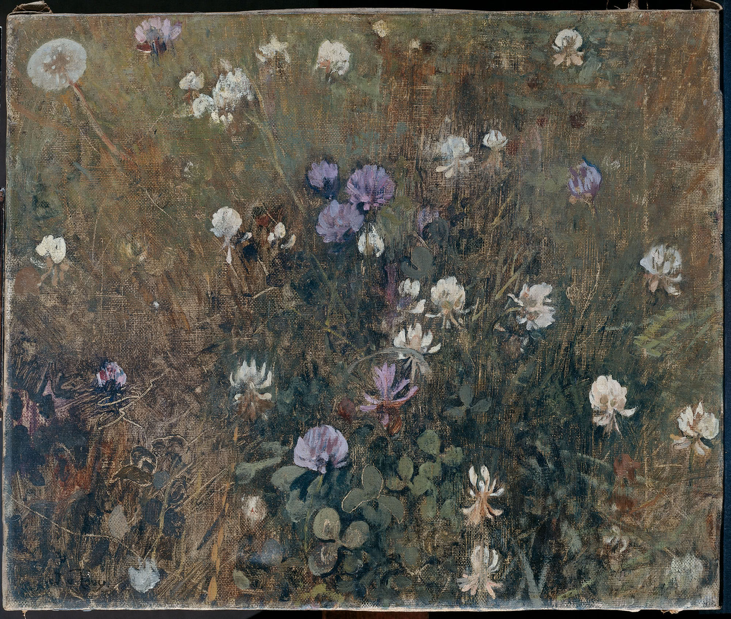 Clover by Jacobus van Looy,A3(16x12")Poster