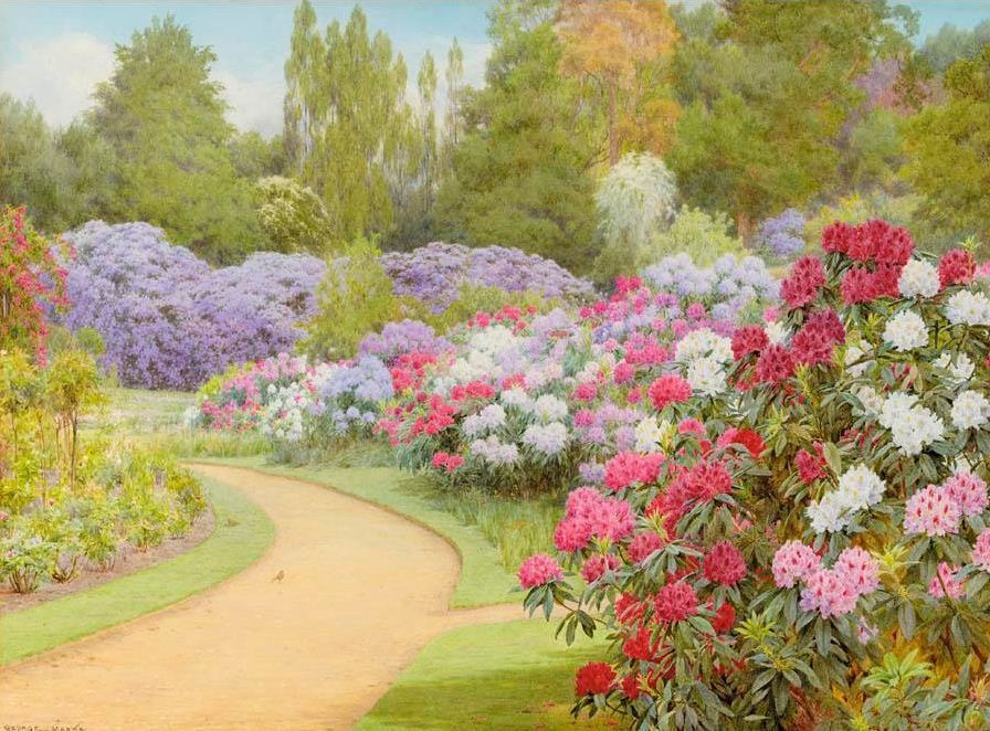 The Rhododendron Walk, vintage artwork by George Marks, 12x8" (A4) Poster
