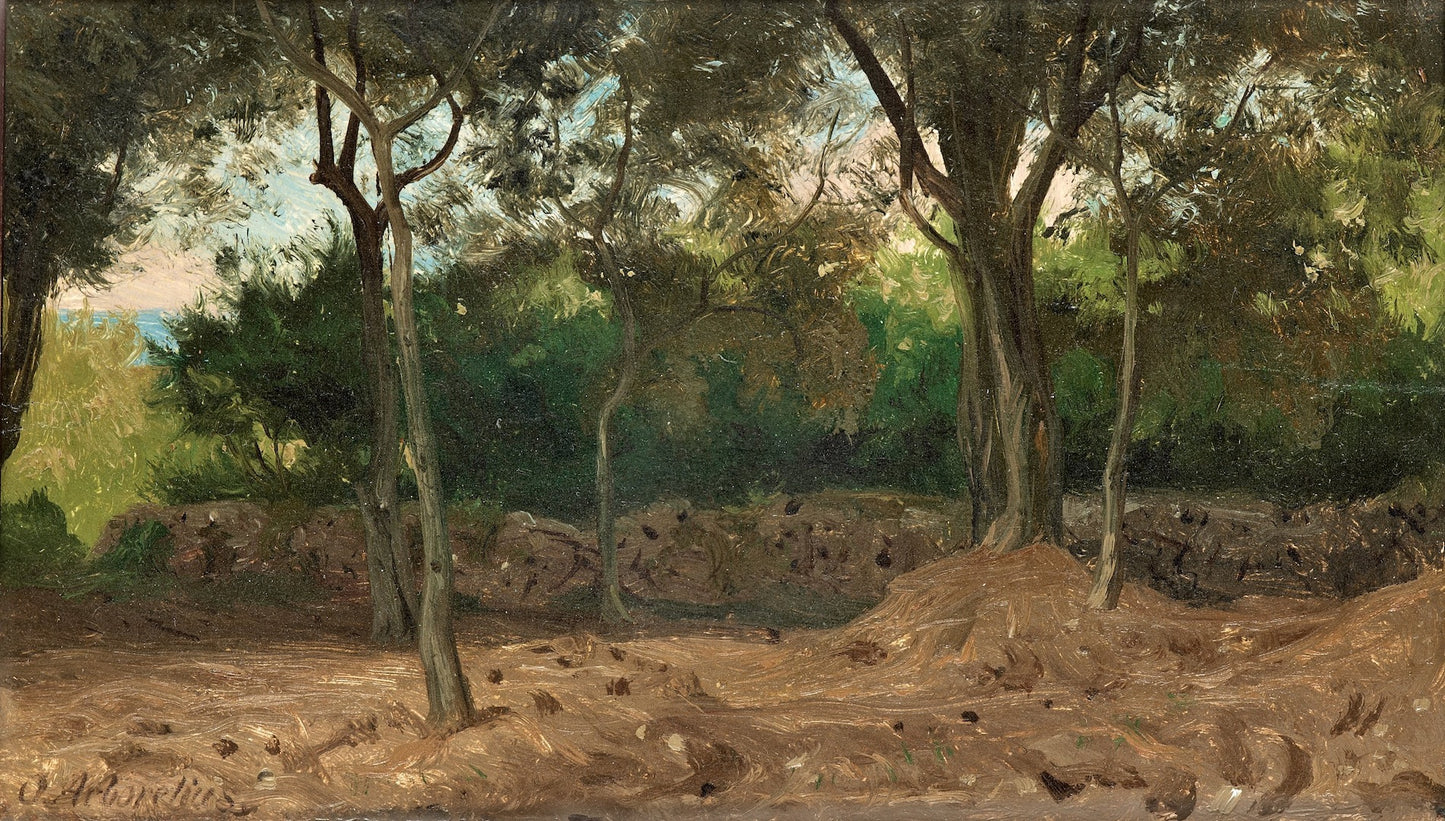 Grove in Italy, vintage artwork by Olof Arborelius, 12x8" (A4) Poster