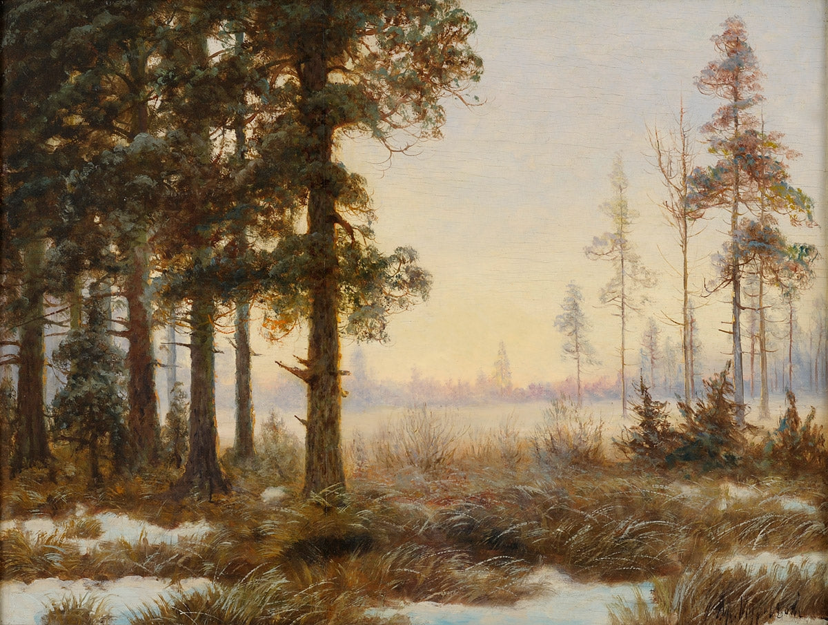 Forest Glade in Winter by Vladimir Muraviev,A3(16x12")Poster